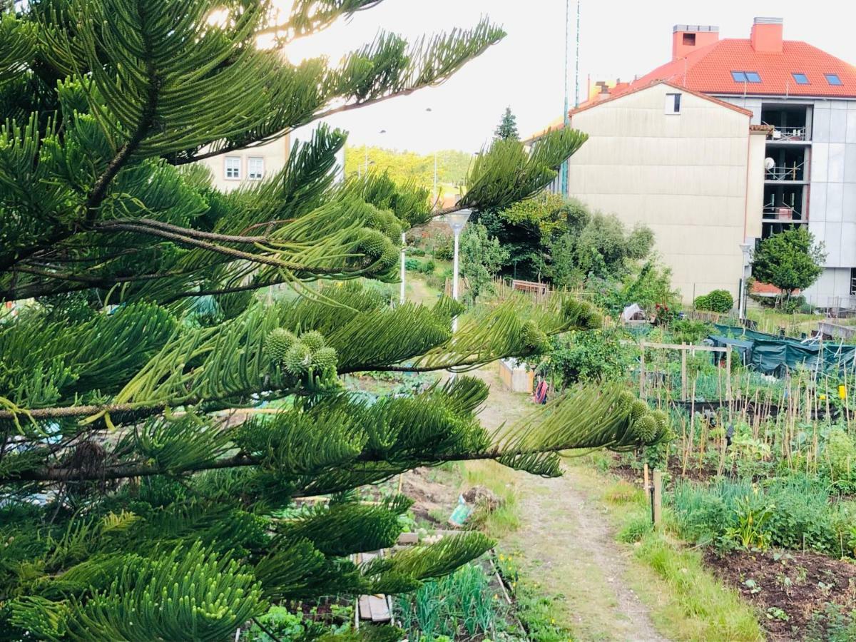 Albergue Sixtos No Caminho Santiago de Compostela Bagian luar foto